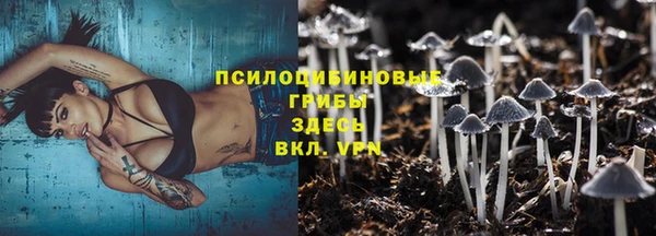мет Арсеньев