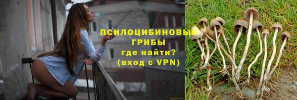 мет Арсеньев