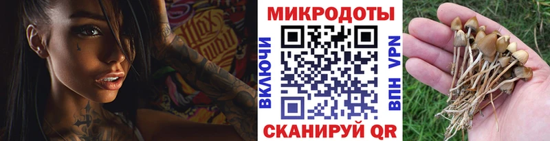 Псилоцибиновые грибы Psilocybe  мега зеркало  Богородицк 